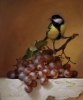 Tontit